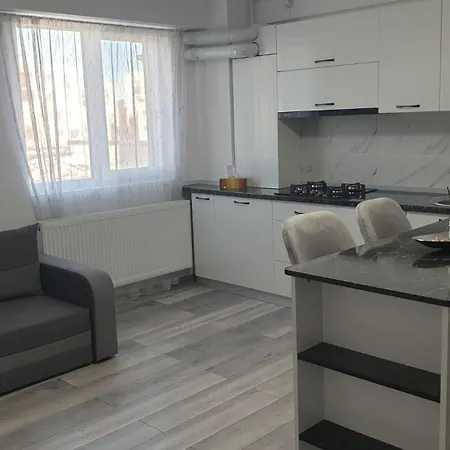 Iulia Apartment Craiova